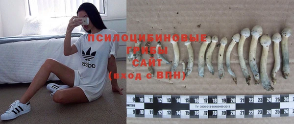 ПСИЛОЦИБИНОВЫЕ ГРИБЫ Алзамай