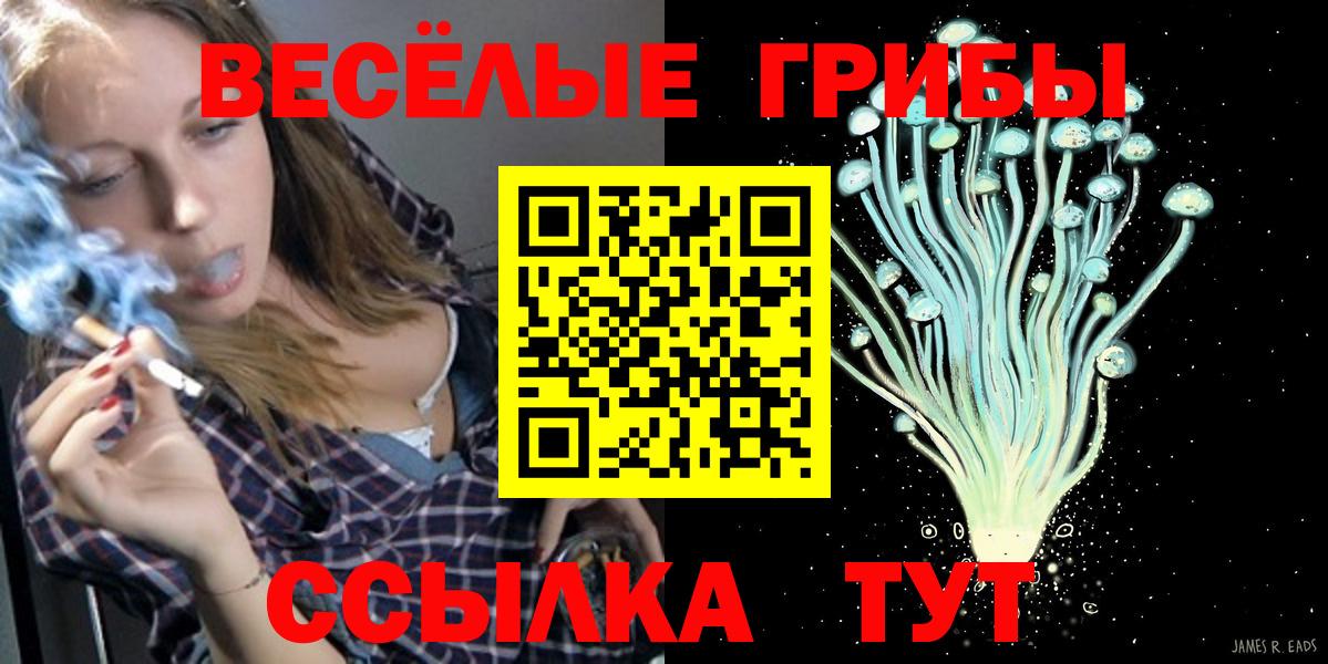Галлюциногенные грибы MAGIC MUSHROOMS  Вход с VPN  Ливны 