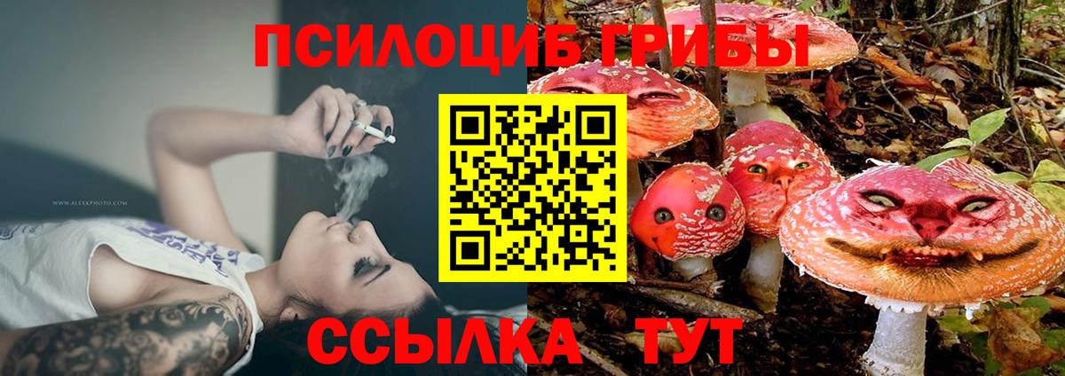 Галлюциногенные грибы Psilocybe Ливны