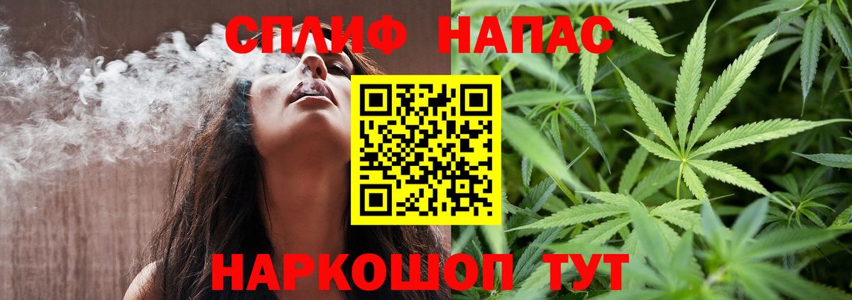 Конопля сатива Ливны